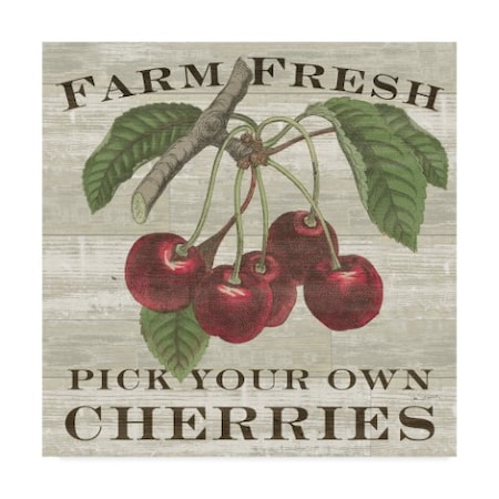 Sue Schlabach 'Farm Fresh Cherries Square' Canvas Art,18x18